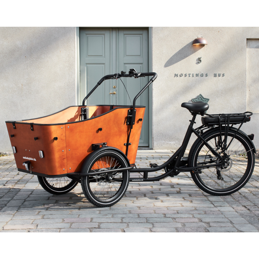 Amcargo Ultimate Harmony Cargo E-Bike, 15.5MPH Facing Left In Context