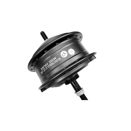 Eleglide Electric Bike Motor for M1 & M1 Plus