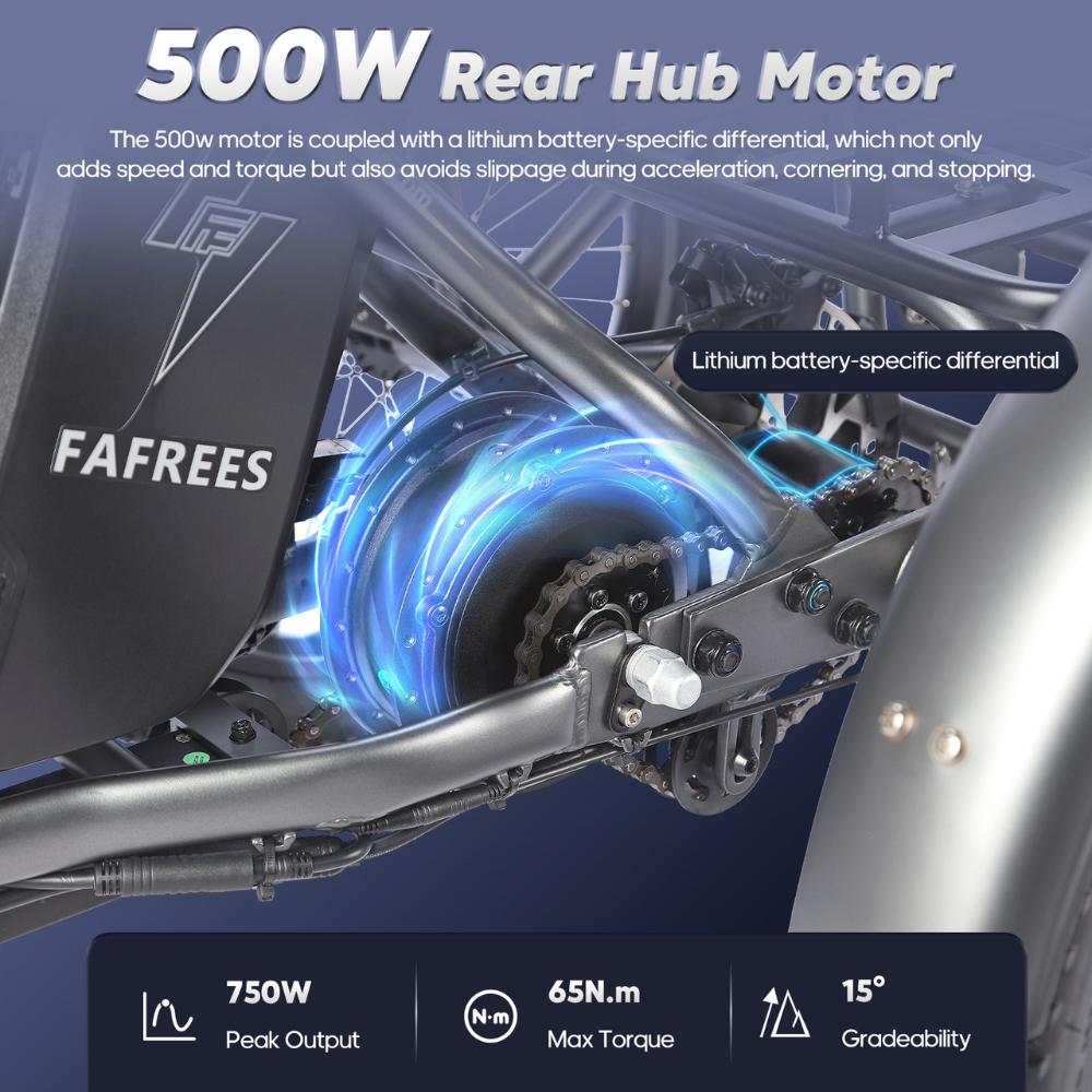 Fafrees F20 Mate Fat Tyre Electric Urban Trike, 2024 Model