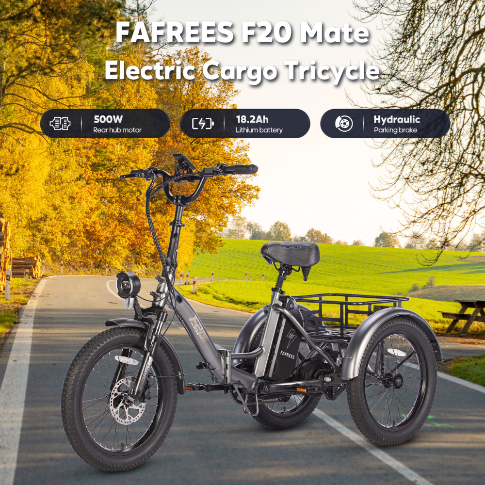 Fafrees F20 Mate Fat Tyre Electric Urban Trike, 2024 Model