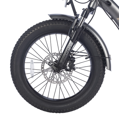 Fafrees F20 Mate Fat Tyre Electric Urban Trike, 2024 Model