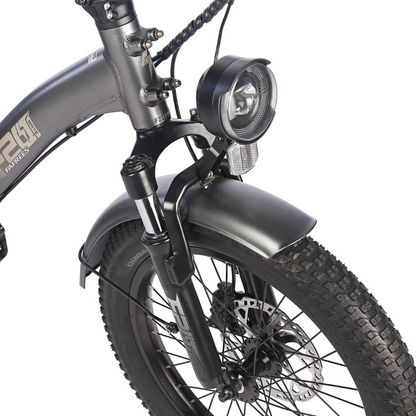 Fafrees F20 Mate Fat Tyre Electric Urban Trike, 2024 Model