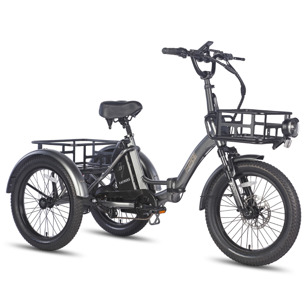 Fafrees F20 Mate Fat Tyre Electric Urban Trike, 2024 Model