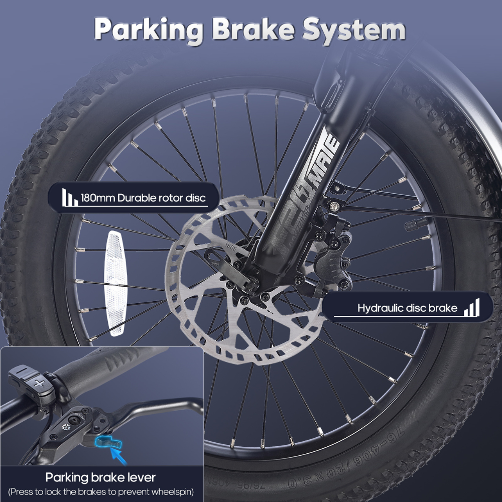 Fafrees F20 Mate Fat Tyre Electric Urban Trike, 2024 Model