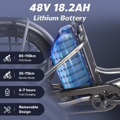 Fafrees F20 Mate Fat Tyre Electric Urban Trike, 2024 Model