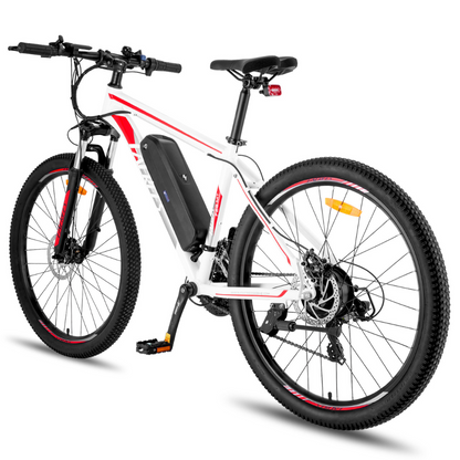 Fafrees F28 Electric Mountain Bike, 2024 Model