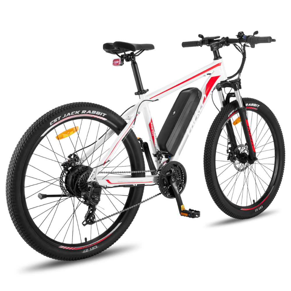 Fafrees F28 Electric Mountain Bike, 2024 Model