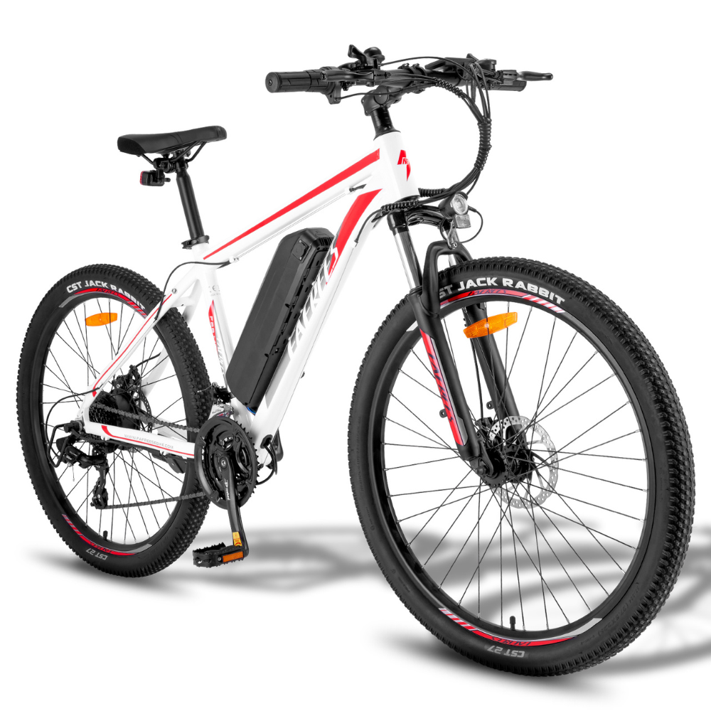 Fafrees F28 Electric Mountain Bike, 2024 Model