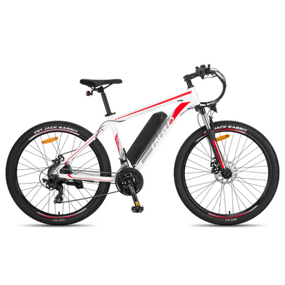 Fafrees F28 Electric Mountain Bike, 2024 Model