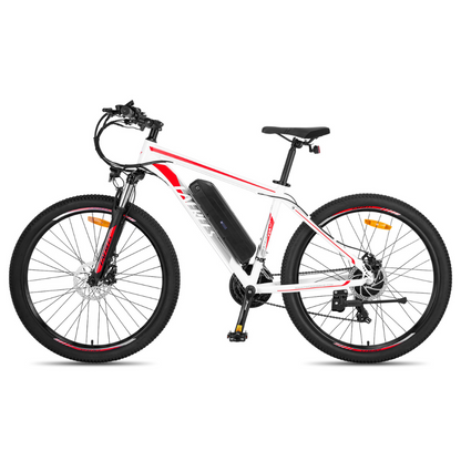 Fafrees F28 Electric Mountain Bike, 2024 Model