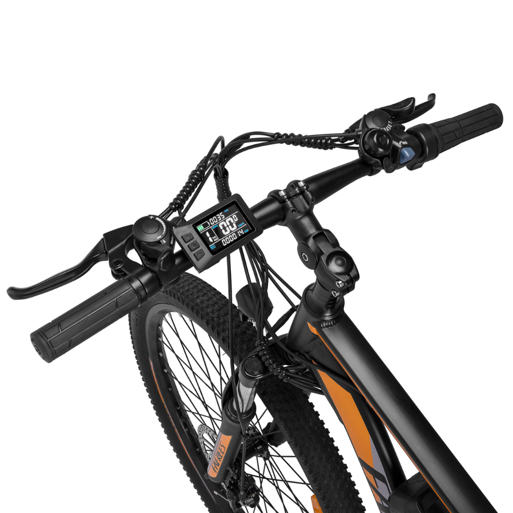 Fafrees F28 Electric Mountain Bike, 2024 Model