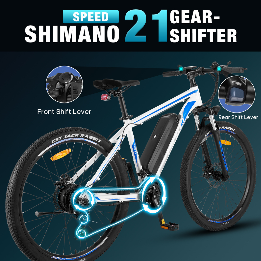 Fafrees F28 Electric Mountain Bike, 2024 Model