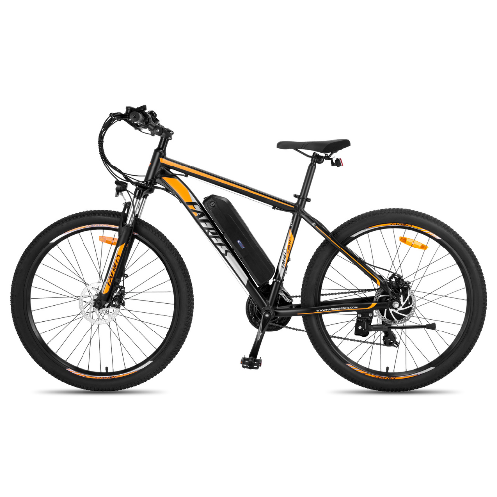 Fafrees F28 Electric Mountain Bike, 2024 Model