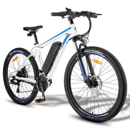 Fafrees F28 Electric Mountain Bike, 2024 Model