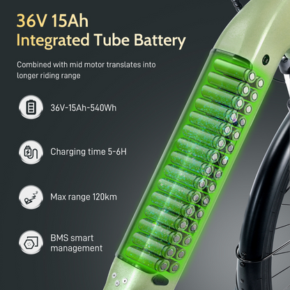 Fafrees FM9 Step Thru Electric Urban Bike, 2024 Model