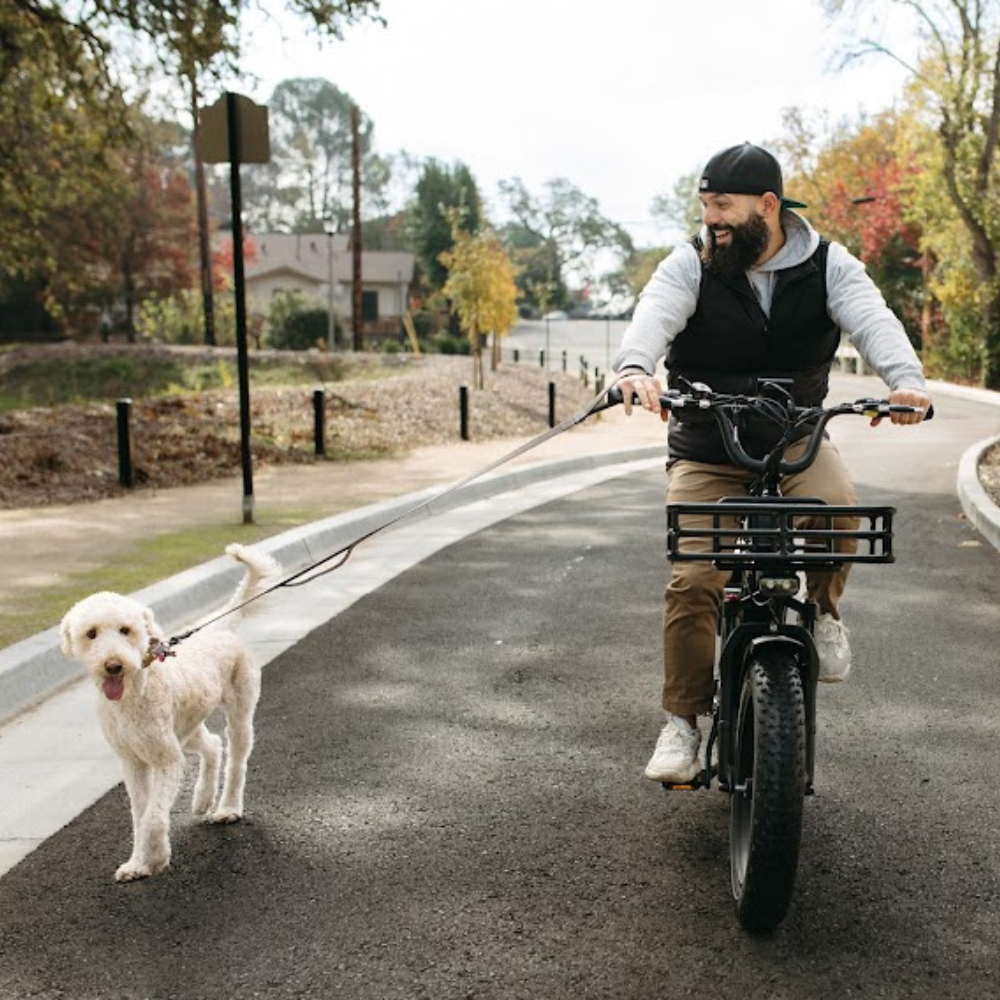 Himiway Big Dog Step Thru Electric Bike, Fat Tyre, Cargo, Top Speed 15.5MPH With Rider and Dog 