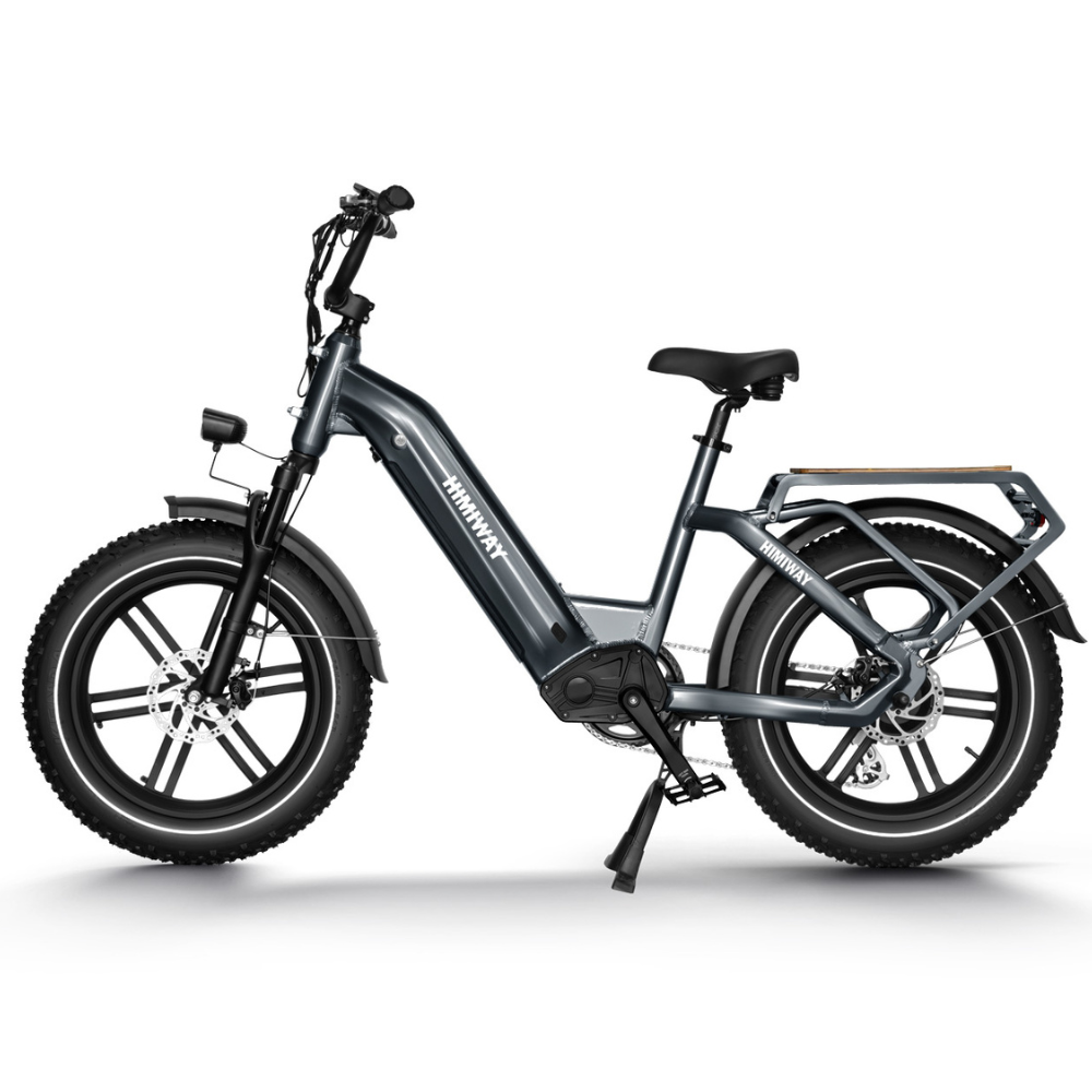 Himiway Big Dog Step Thru Electric Bike, Fat Tyre, Cargo, Top Speed 15.5MPH Facing Left 