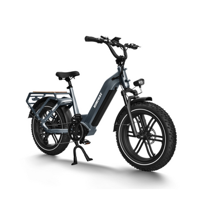 Himiway Big Dog Step Thru Electric Bike, Fat Tyre, Cargo, Top Speed 15.5MPH Facing Oblique Right 