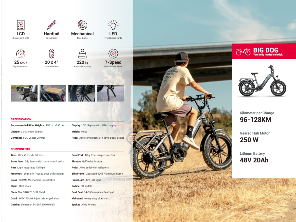 Himiway Big Dog Step Thru Electric Bike, Fat Tyre, Cargo, Top Speed 15.5MPH Specification Sheet
