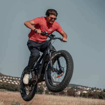 Himiway King Cobra Electric Mountain Bike, Fat Tyre, Long Range, Black, Top Speed 15.5MPH Airbourne In A Field