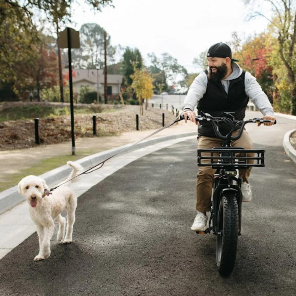 Himiway Big Dog ridden outdoors with a pet dog.