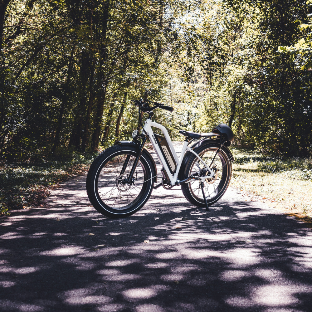 Himiway Cruiser ST in the woods.