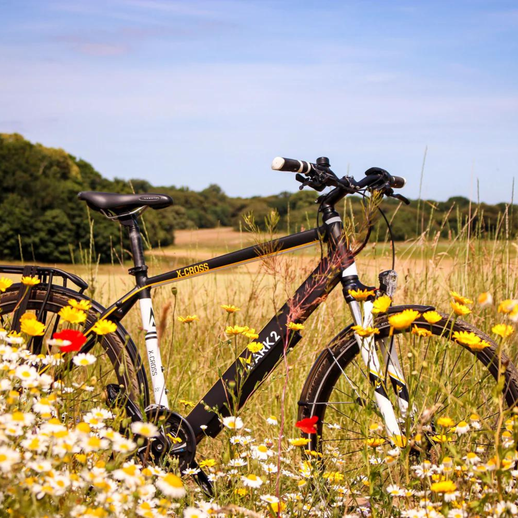 Mark2 X-Cross 520 Sports Commuter Lightweight E-Bike In A Field