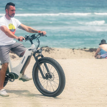 Himiway Zebra Step Through All Terrain Fat Tyre Bike White Riding On The Beach